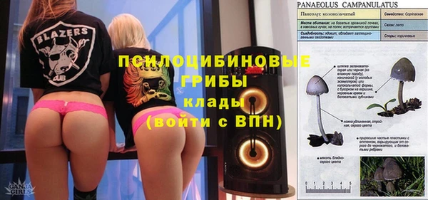 spice Балабаново